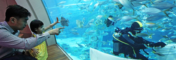 Ccean Suites at RWS