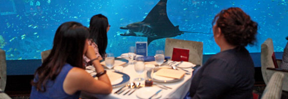 Ocean Restaurant by Cat Cora at RWS