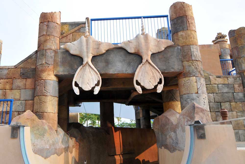 Adventure Cove Waterpark Adventure River