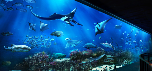 S.E.A. Aquarium at Resorts World Sentosa