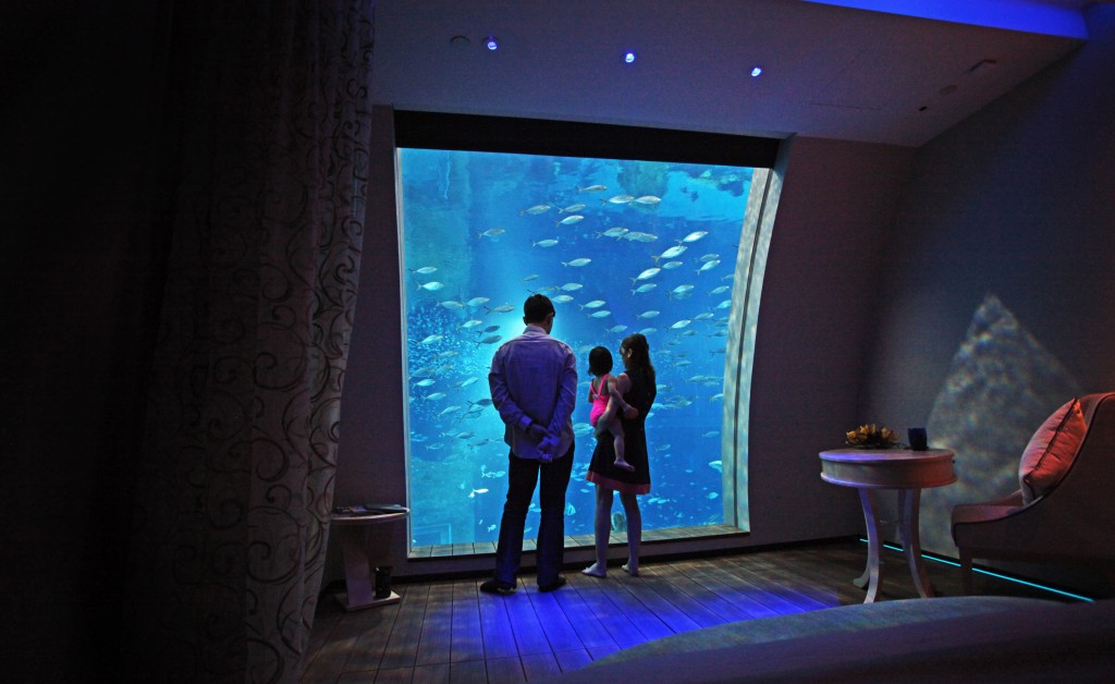 Ocean Suites - Aquarium view