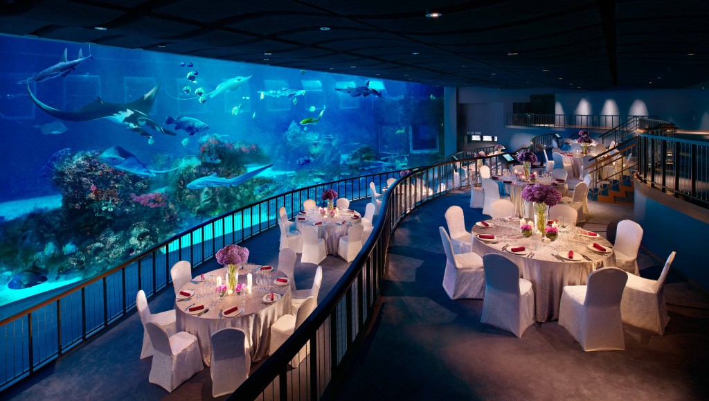 The fishes are listening.