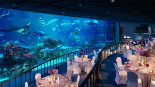 Wedding venues at Resorts World Sentosa