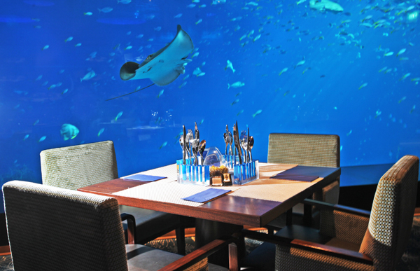 ocean restnt