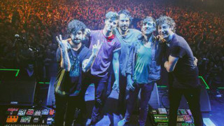 Foals