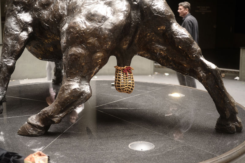 Bull testicles