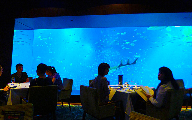 Ocean Restaurant by Cat Cora