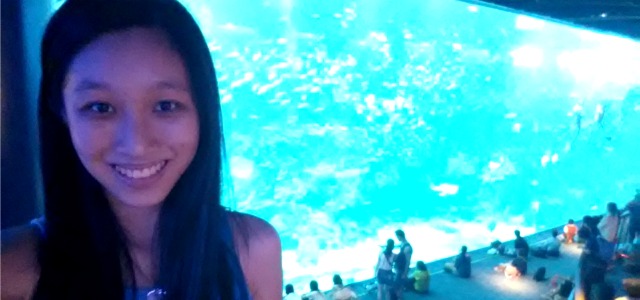 RWS SEAA oceanarium