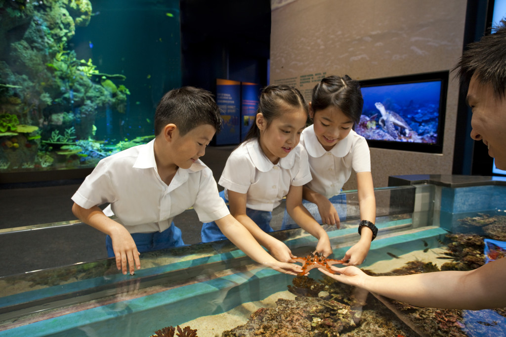 Get touchy feely at Discovery Touch Pool