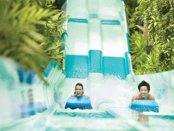 RWS Adventure Cove Waterpark