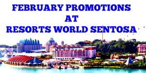 feb-promo-tw new