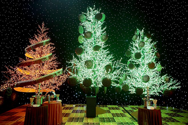 A Chocolate Adventure - lighted trees