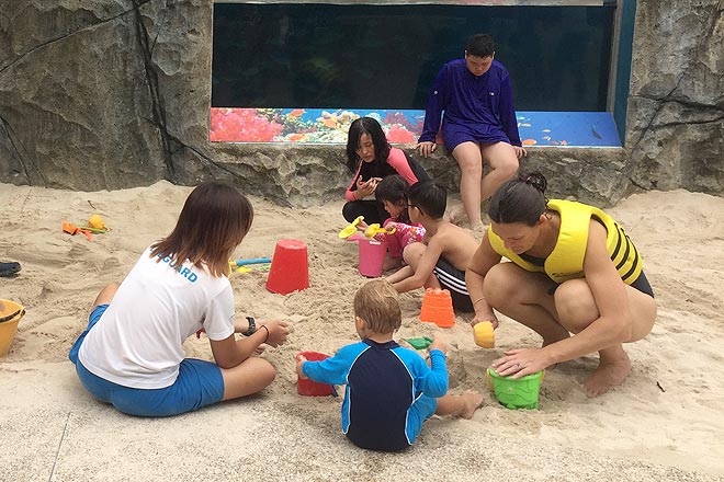 ACW Summer Activities 2017