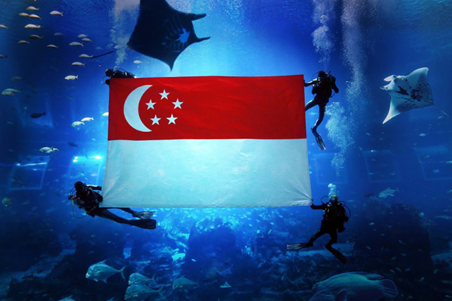 National Flag Dive-past