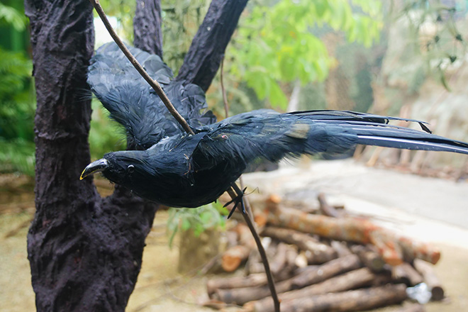 Jackdaw motif at the entrance of Hex
