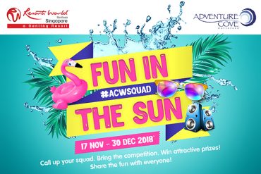 ACW Fun in the Sun RWS year-end school holidays