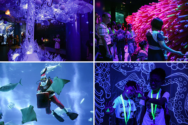 S.E.A. Aquarium Glowing Ocean 2018
